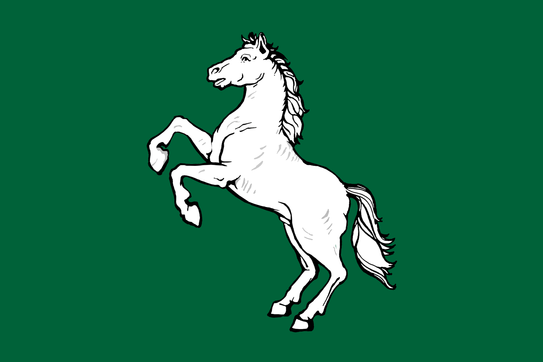 Flag of Tomsk.png