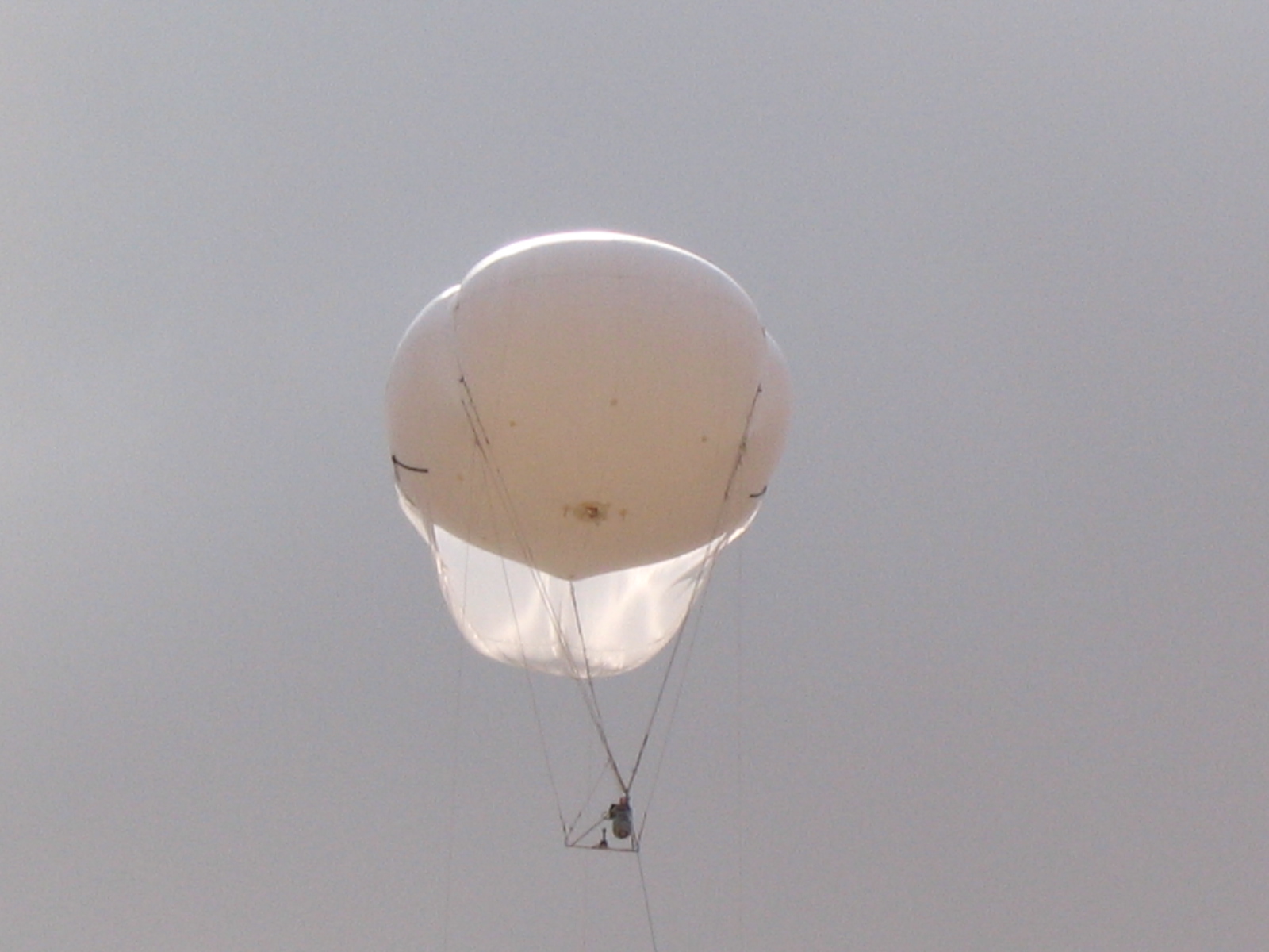 Файл:IMG 0028.JPG