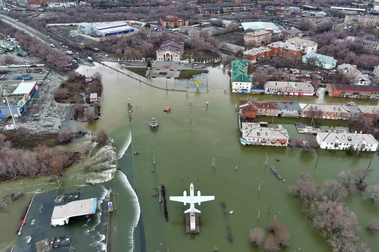 Файл:Photo 2024-04-10 14-39-35.jpg