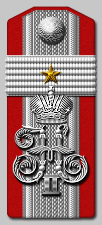 Зауряд-прапорщик на должности фельдфебеля, рота Его величества гвардейского саперного батальона