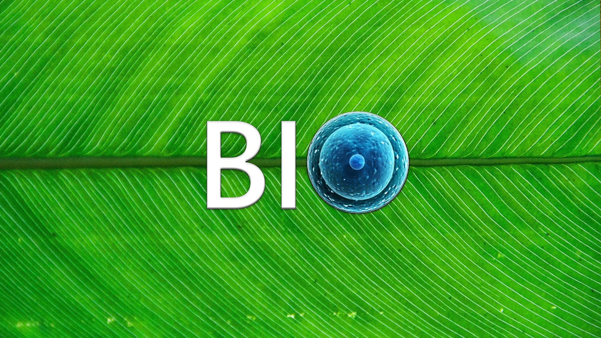 Файл:Биология (сообщество).jpg