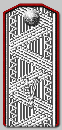 Генерал от инфантерии ( генерал от кавалерии, генерал от артиллерии, генерал-инженер), начальника штаба V-го армейского корпуса