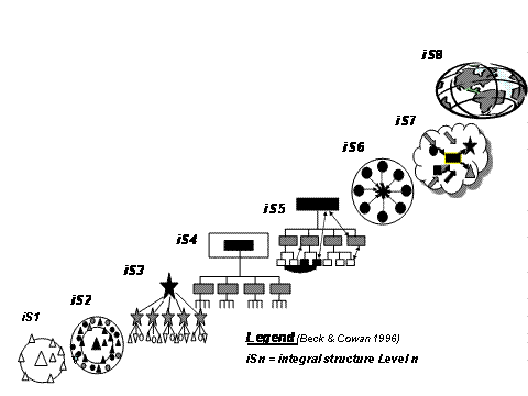 Карта 4: Комплексные адаптивные динамические стадии изменения организации (и мозга)