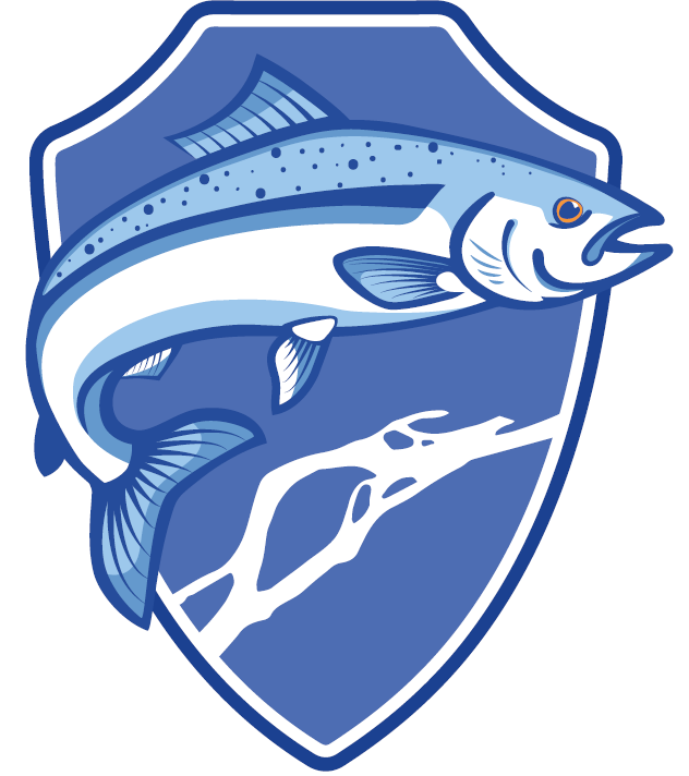 Файл:Ассоциация «Река Большая».png