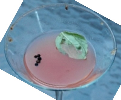 Файл:Жгучий саке (коктейль).jpg