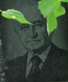 Шапировский ДС.JPG