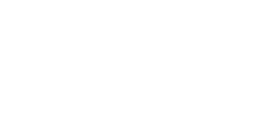 Логотип компании Optimum Nutrition.png