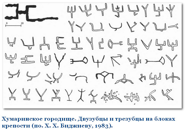 2014-08-08 114110.jpg