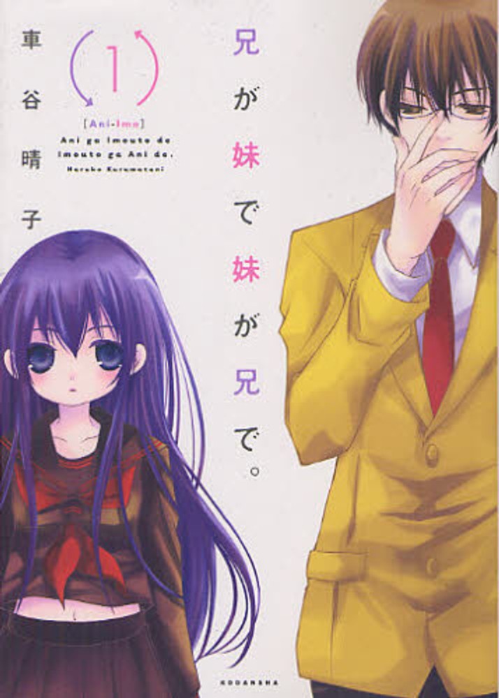 Ani ga Imouto de Imouto ga Ani de.jpg
