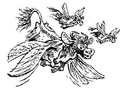 Склиссы в родной среде обитания на планете Шешинеру