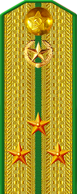 Парадный погон старшего лейтенанта пограничных войск КГБ СССР