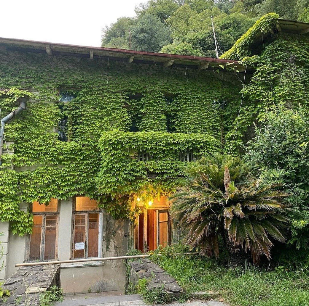 Файл:Ласточкино гнездо.jpeg