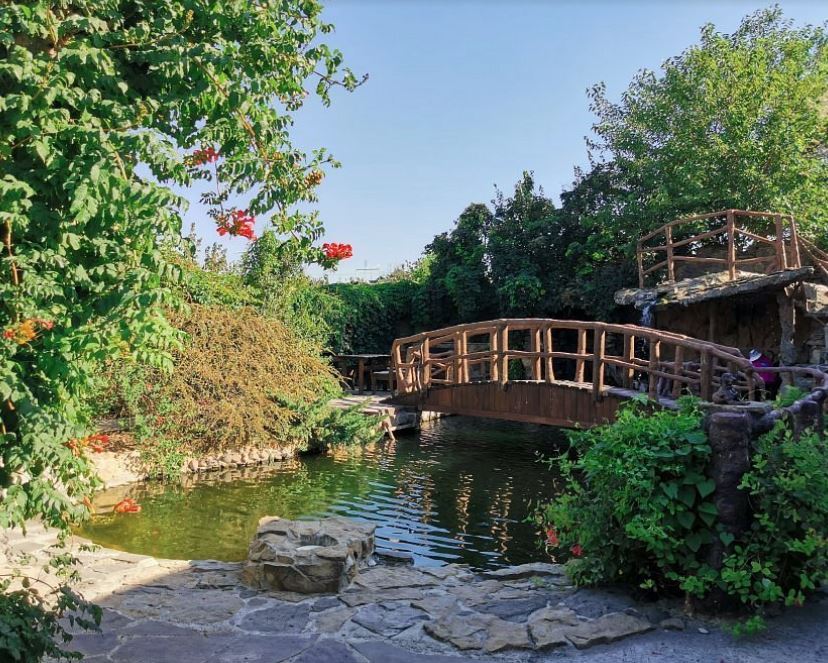 Музей «Планета осликов», дворовая территория