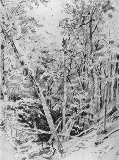 Сууч-Хан. Крым. 1879