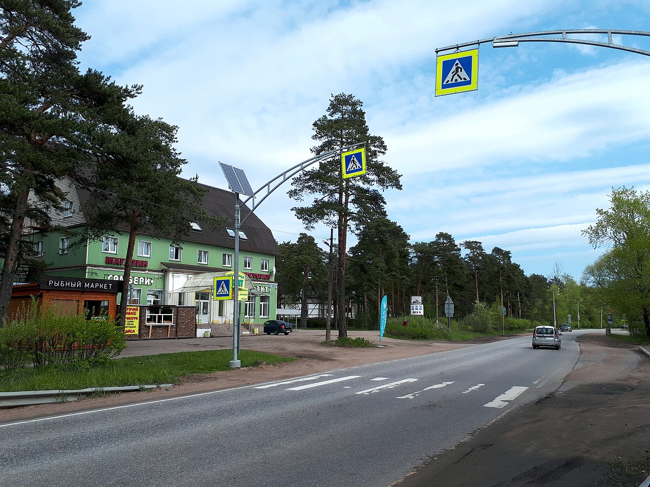 3540. Bolshaya Izhora. Primorskoe highway, 84 2.jpg