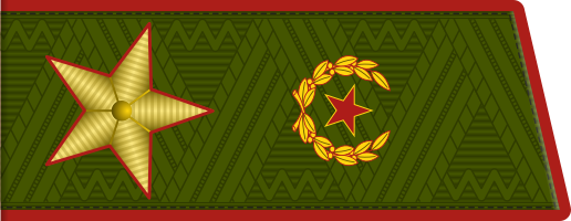 Генерал армии