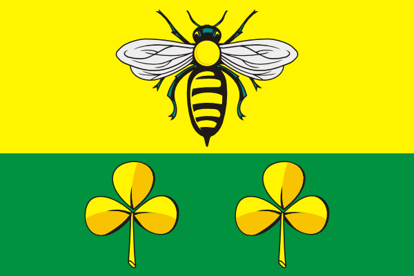 Flag of Sandovsky rayon (Tver oblast).png