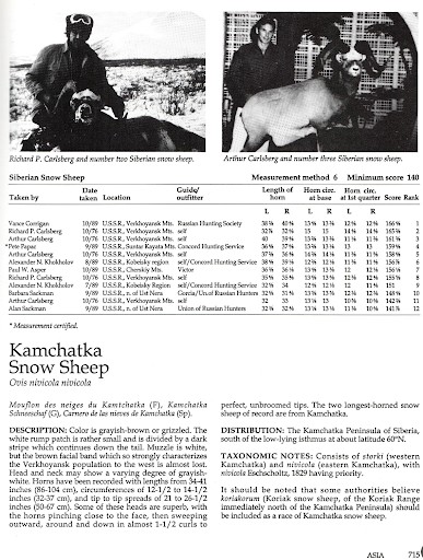 SCI record-book4.jpg