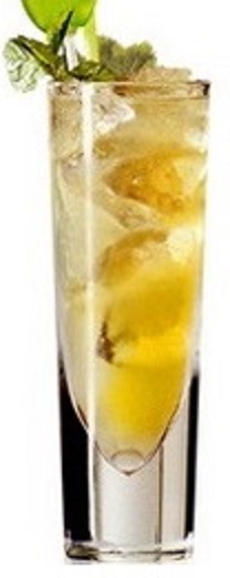 Файл:Джиновый свиззл (коктейль).jpg