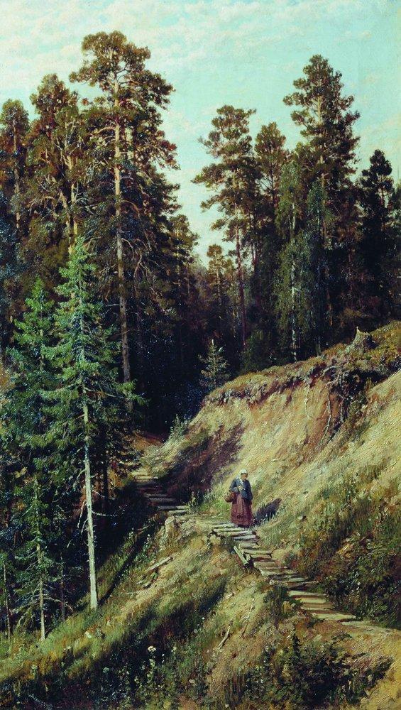 В лесу. Из леса с грибами. 1883