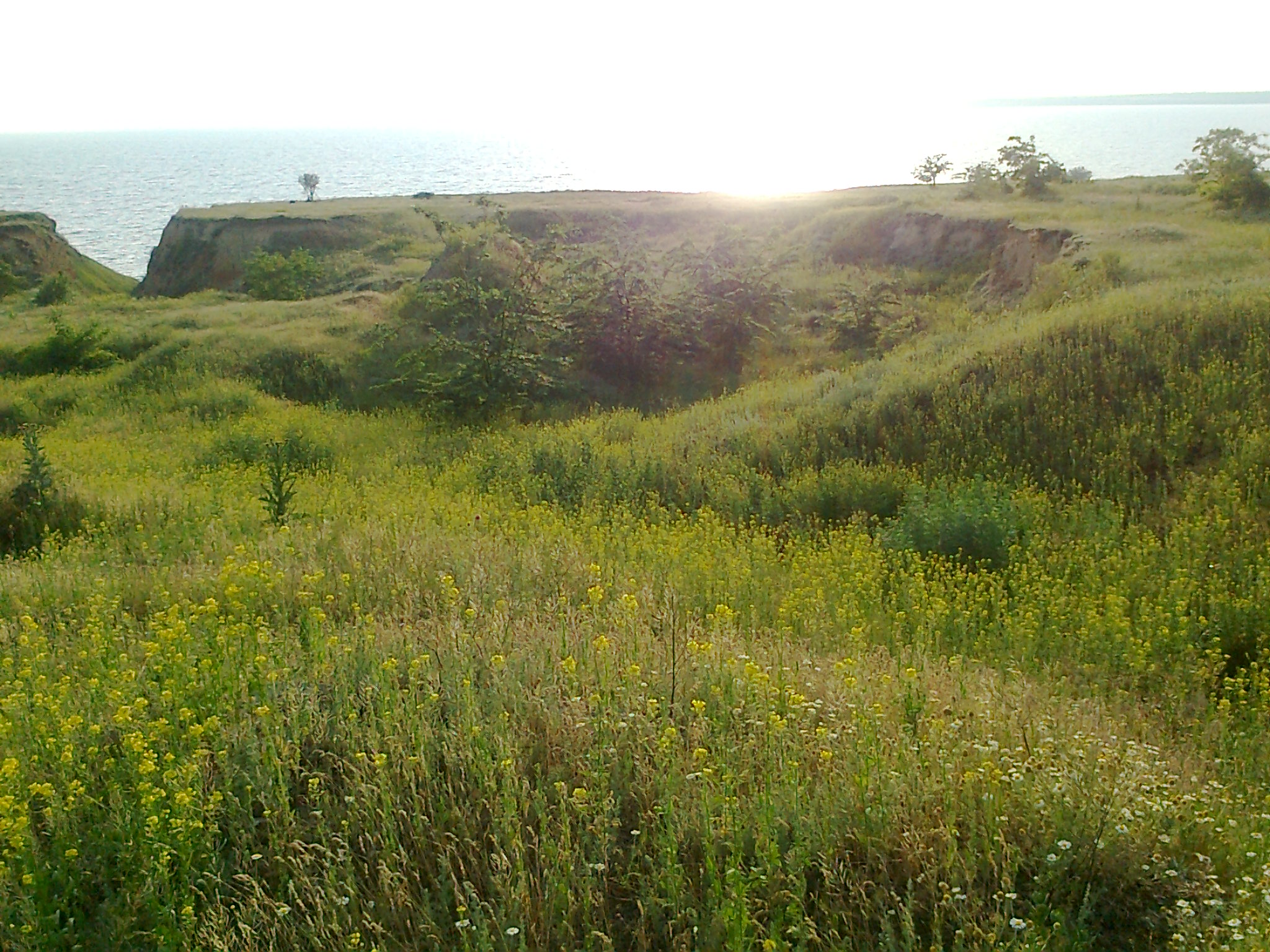 Заказник "Олександрівський".jpg