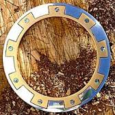 Шакрам Света