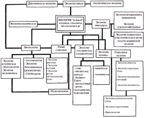 Схема основных направлений экологии