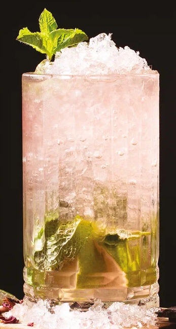 Клюквенный Мохито (коктейль)2.jpg