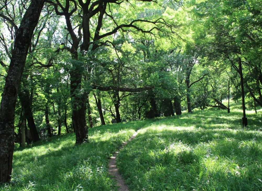 Файл:Ставрополь Павлова дача 2018.jpg