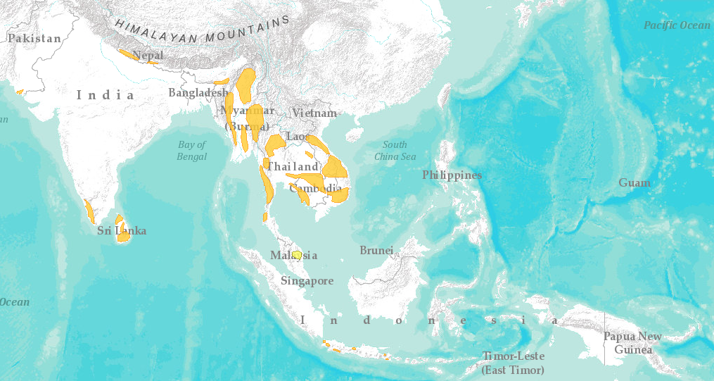 Prionailurus viverrinus range map.png