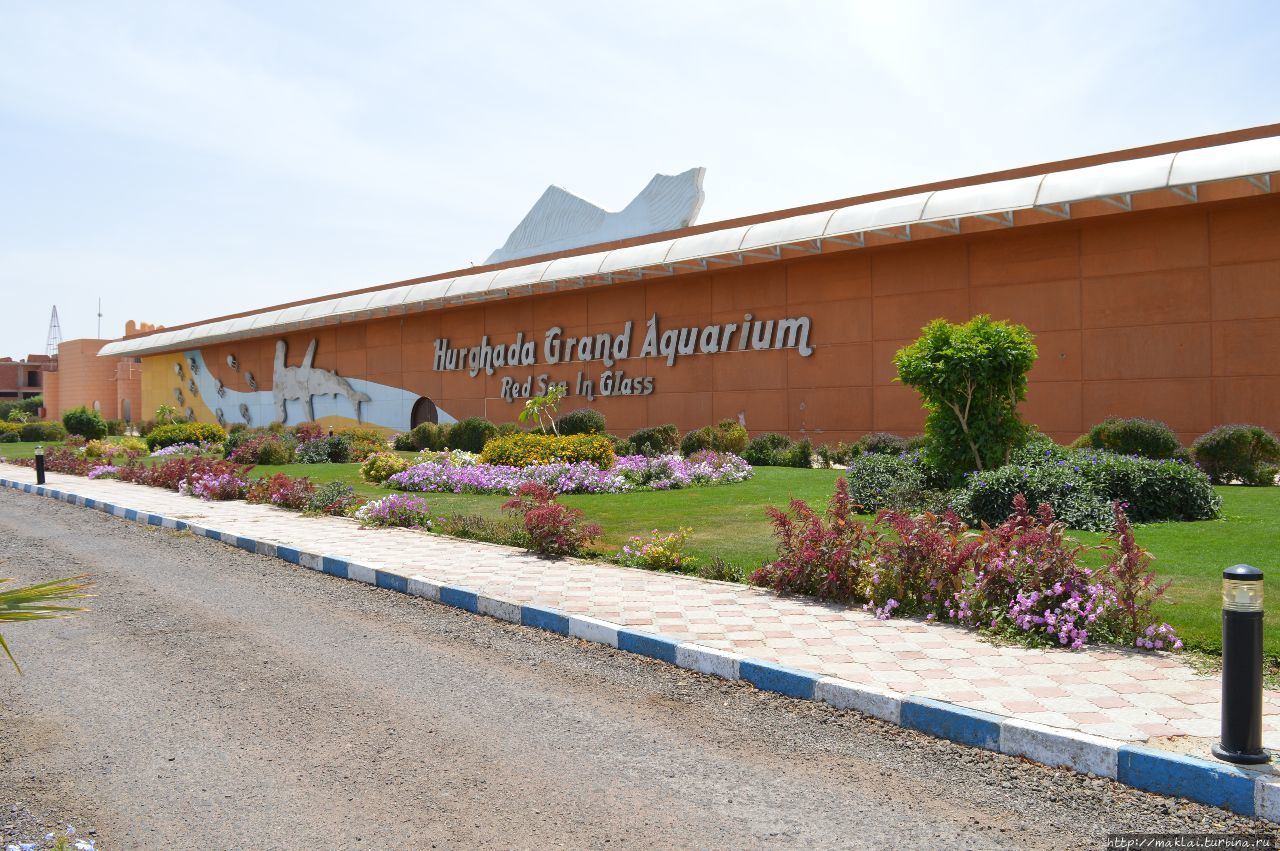 Файл:Гранд Аквариум.jpg