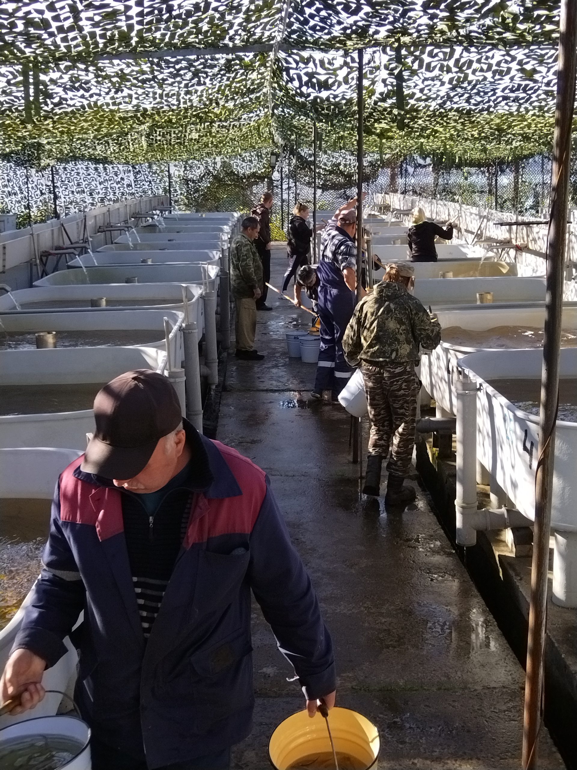 Княжегубский рыбоводный завод8.jpg