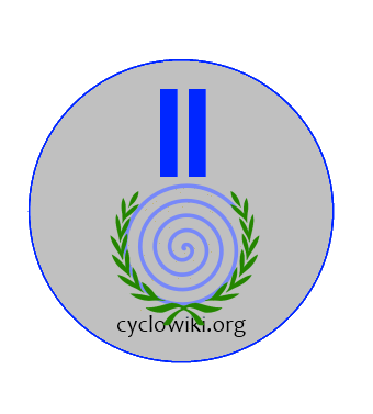 Серебряный призёр, вице-чемпион