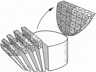 Схема разреза