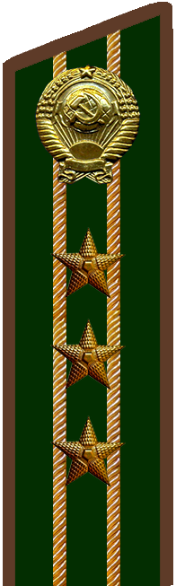 Старший советник финансовой службы 1 ранга