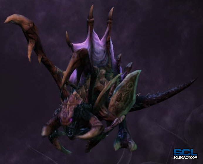 Raptor SC2 Game1.jpg