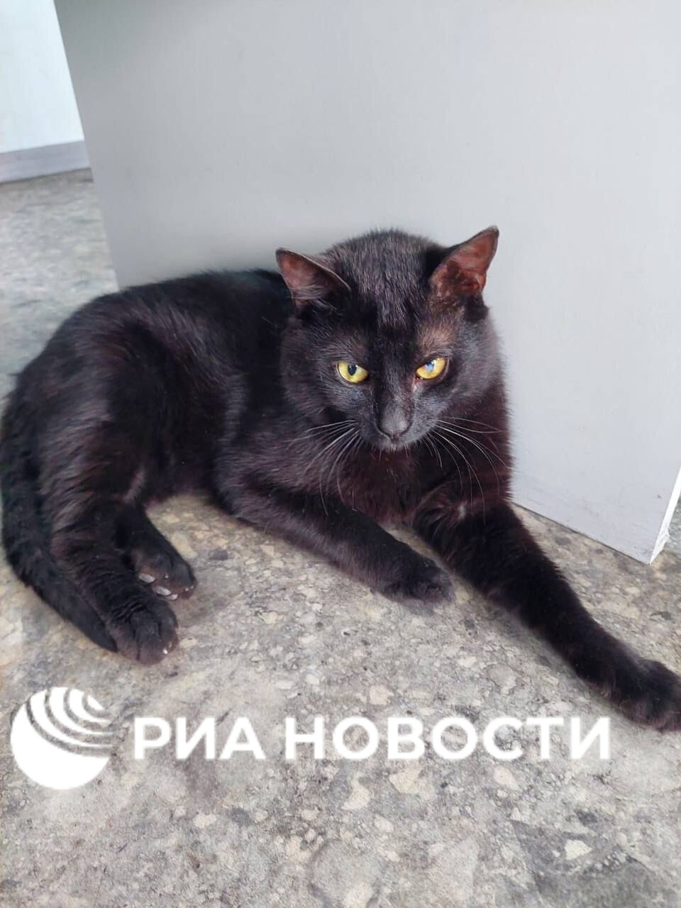 Файл:Lgmeuyk4 lg.jpg