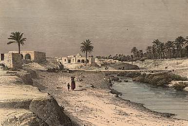 Jardins de Jara (Gabès) - Taylor & Kohl.jpg