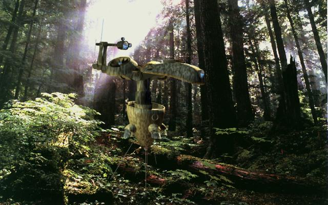 Модель в лесу