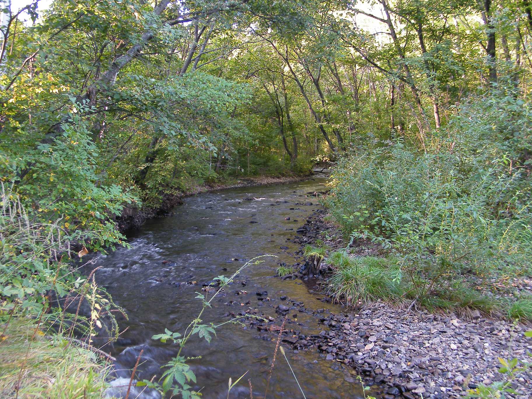 Река Бычиха, Хабаровский край.jpg