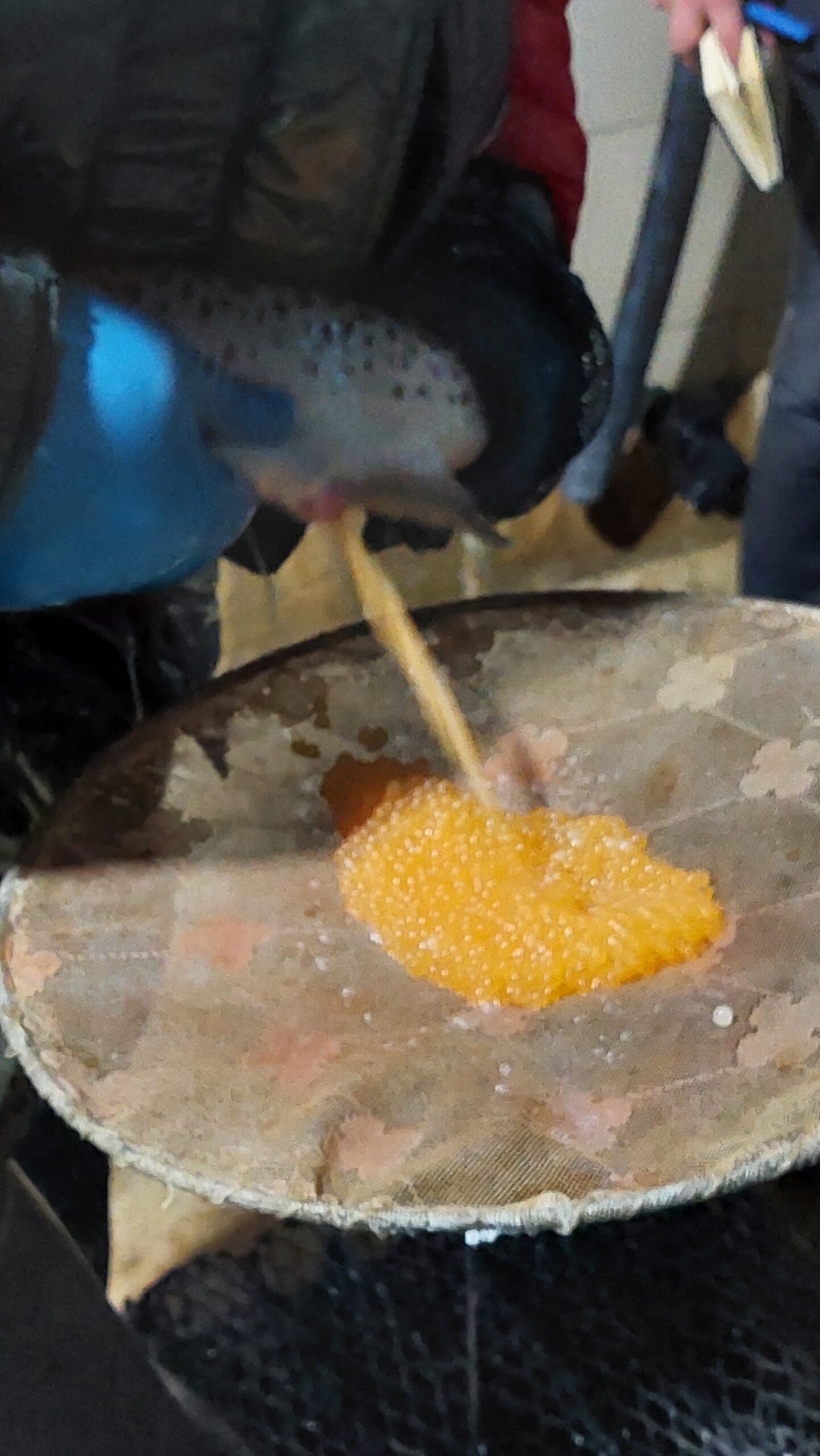 Доение кумжи