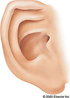 По данным Darryl Leja, NHGRI, National Institutes of Health[16]