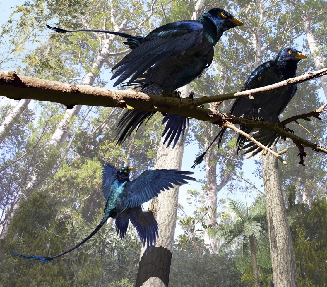 Picture of the day microraptor 1.jpg