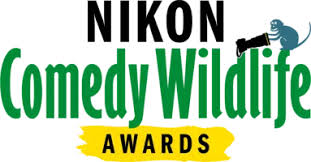 Файл:Nikon Comedy Wildlife Awards.jpg