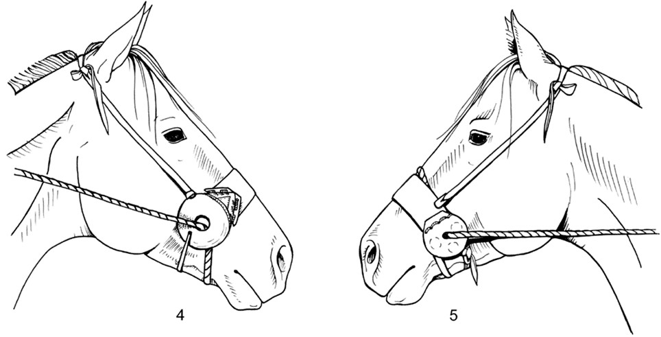 Реконструкция безудильных узд с использованием щитковых псалиев по Степановой и Чугунову.jpg