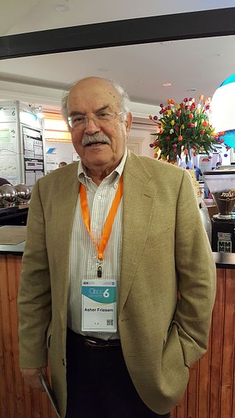 Asher Friesem 02.jpg