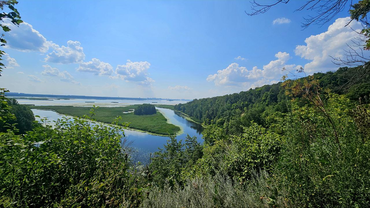 Файл:Урочище Белая Гора. Воронежская область.jpg