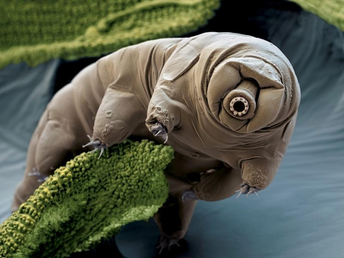 127458826 SRyoSRSRR.jpg