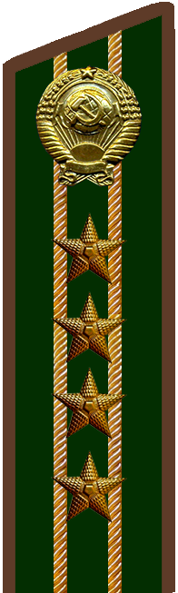 Старший советник финансовой службы