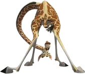 Melman Madagaskar.gif